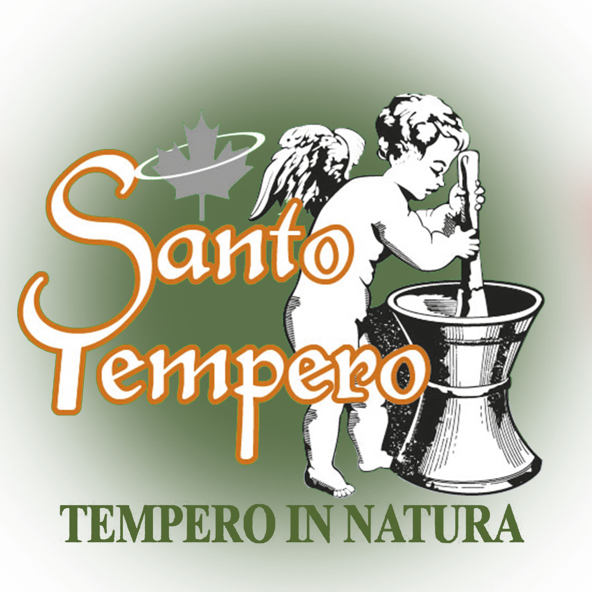 Santo Chá Produtos
